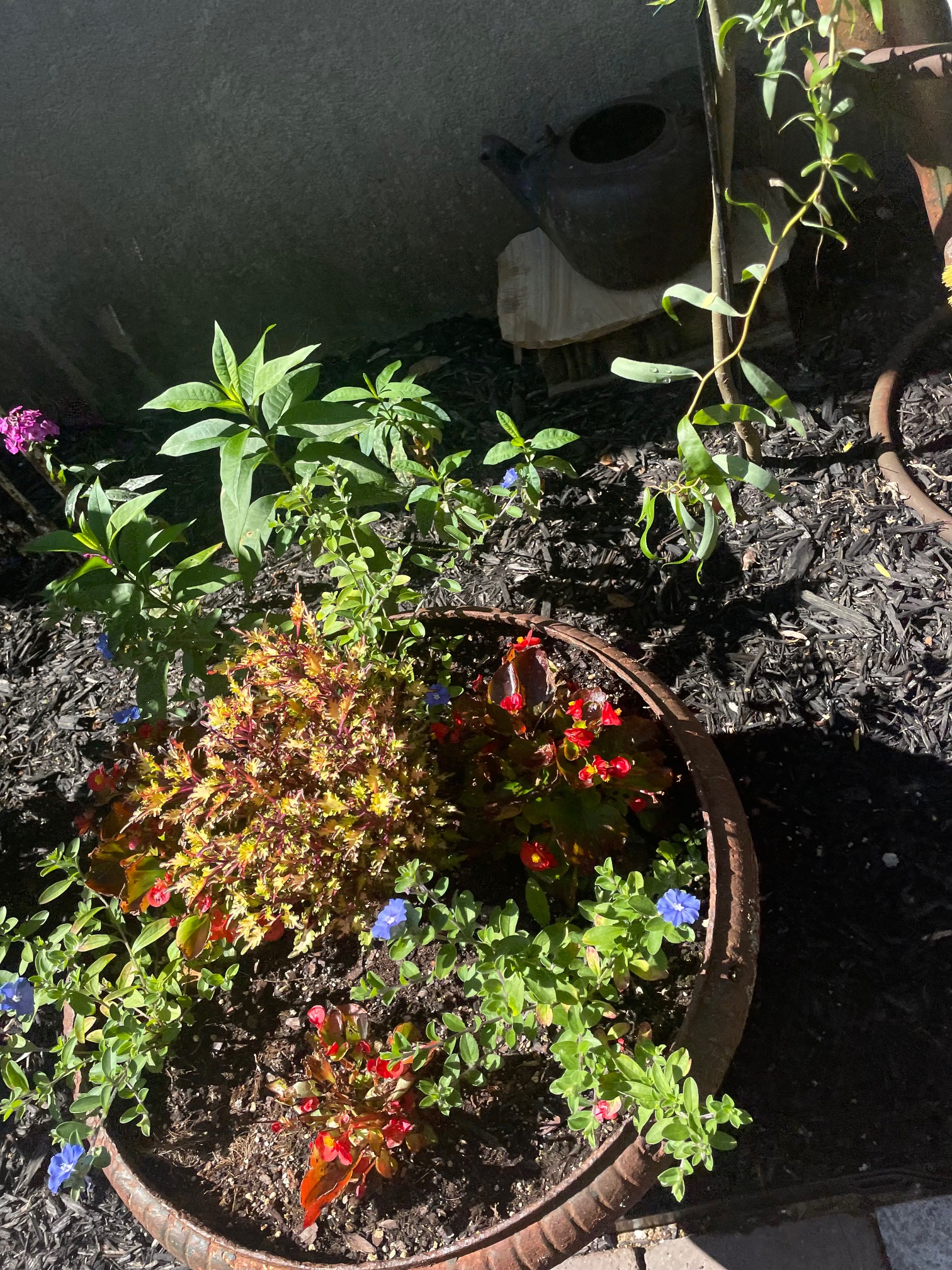 Gardens, photo 8