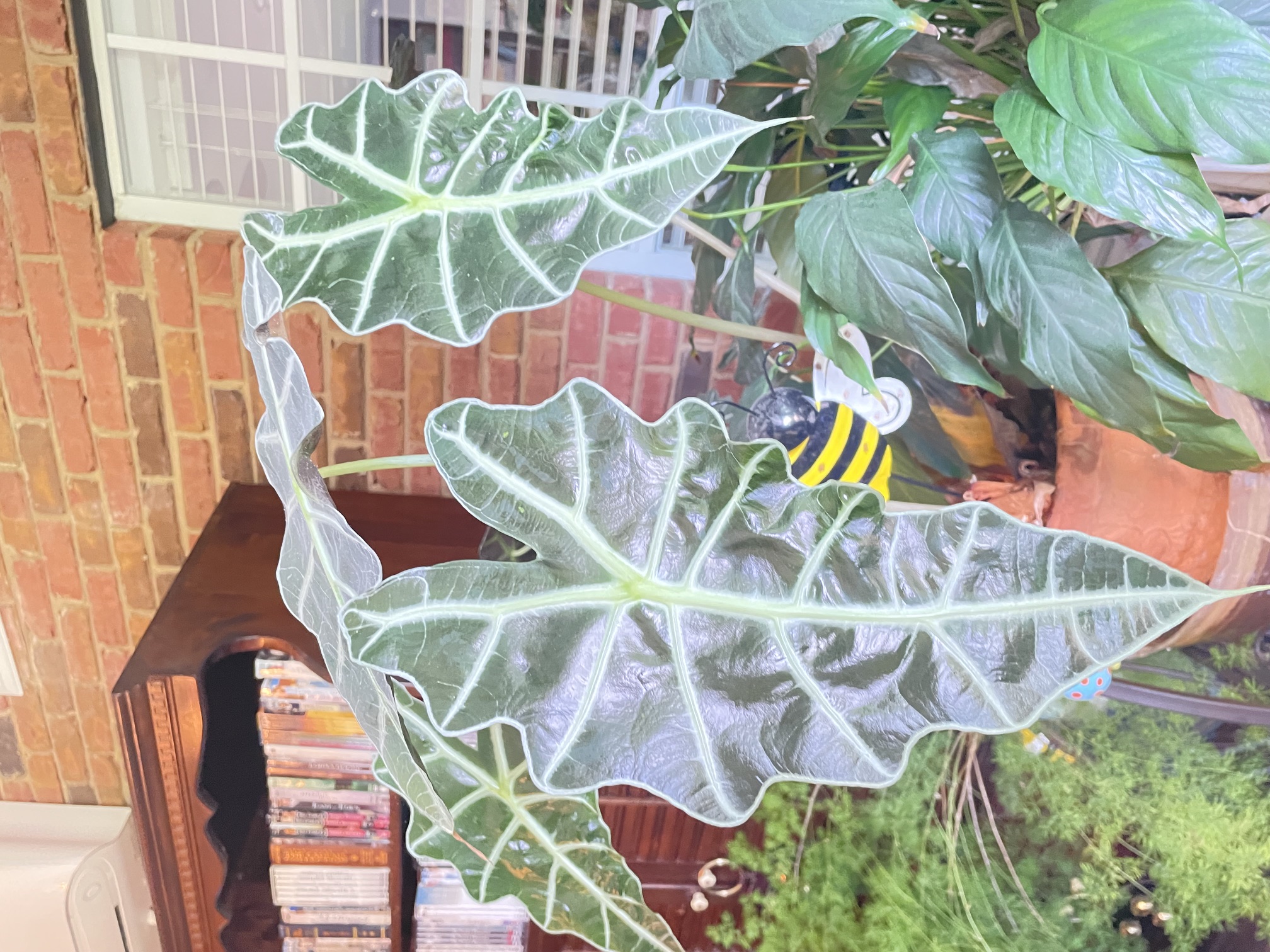 Gardens, photo 15
