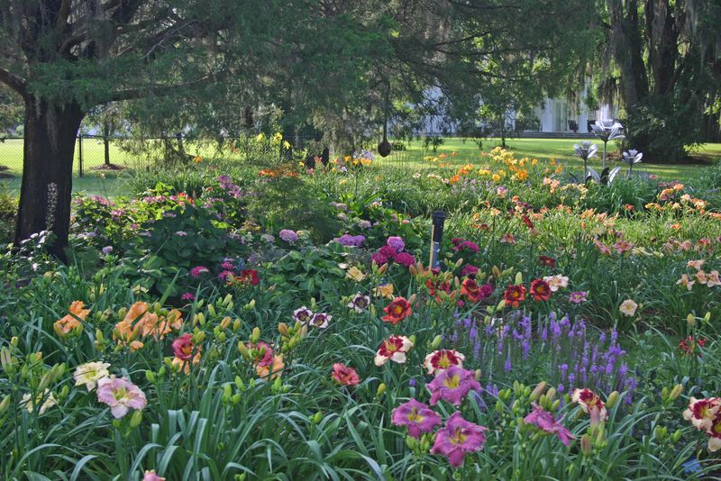 The Burkhart Garden