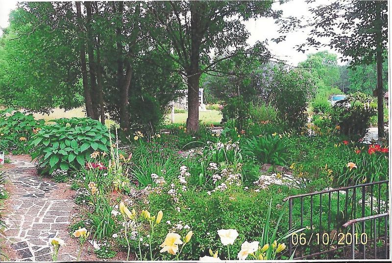 The Woods Garden