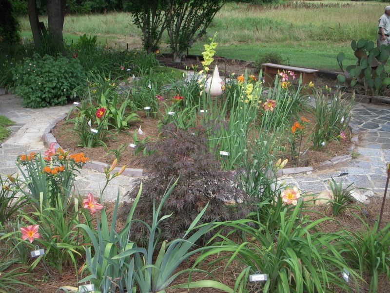 The Woods Garden